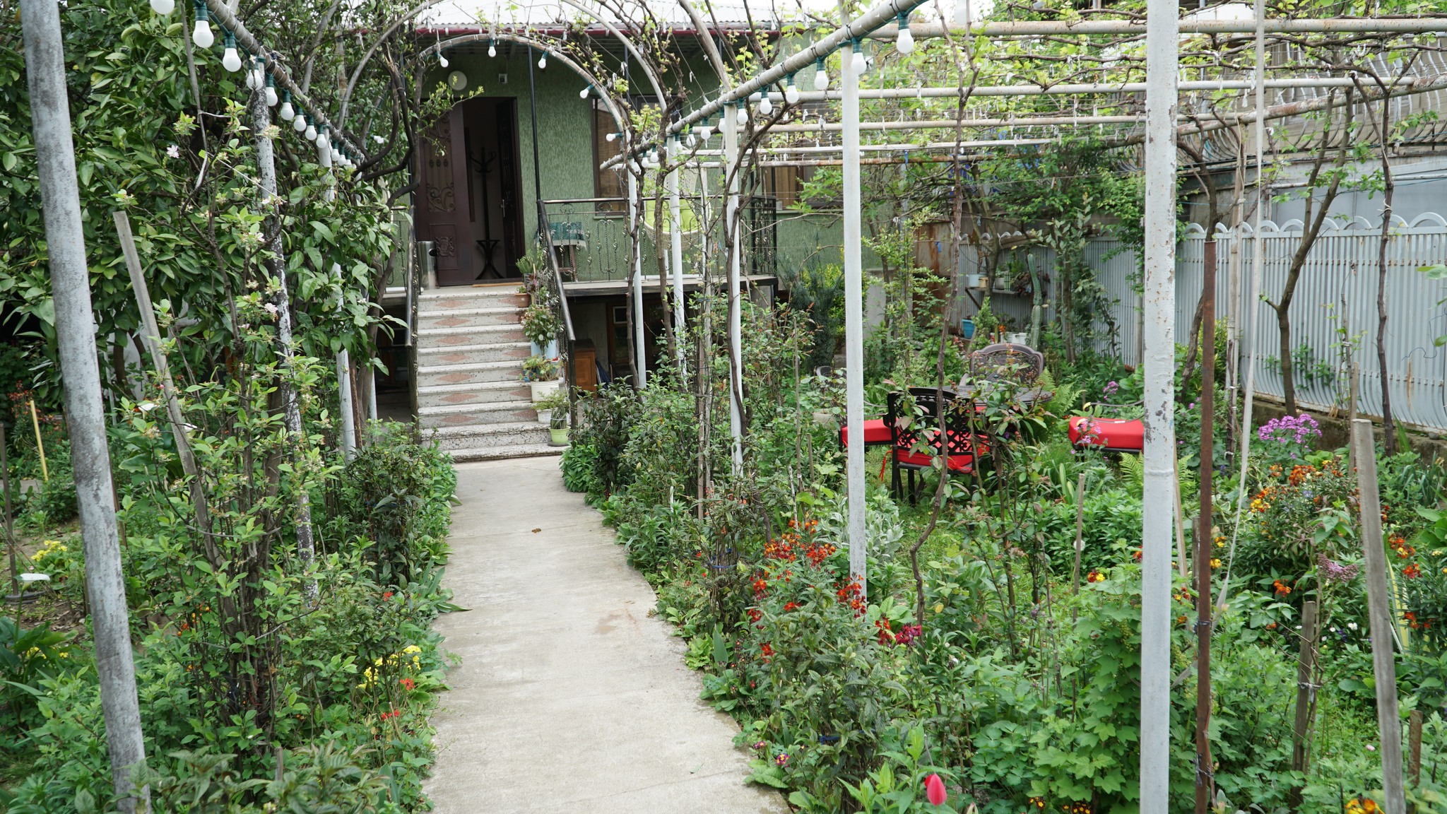 Green Garden Area