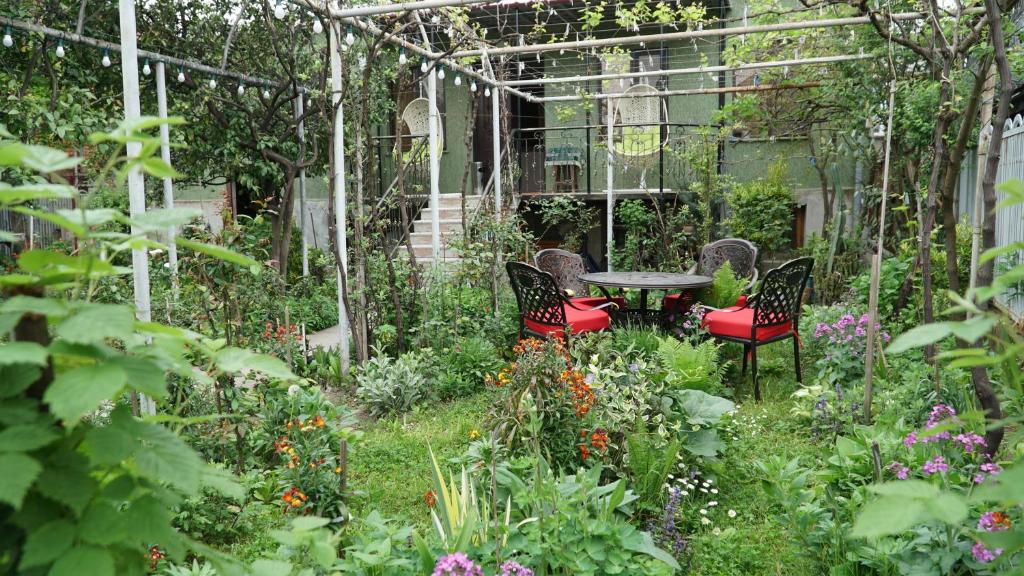 Garden Area